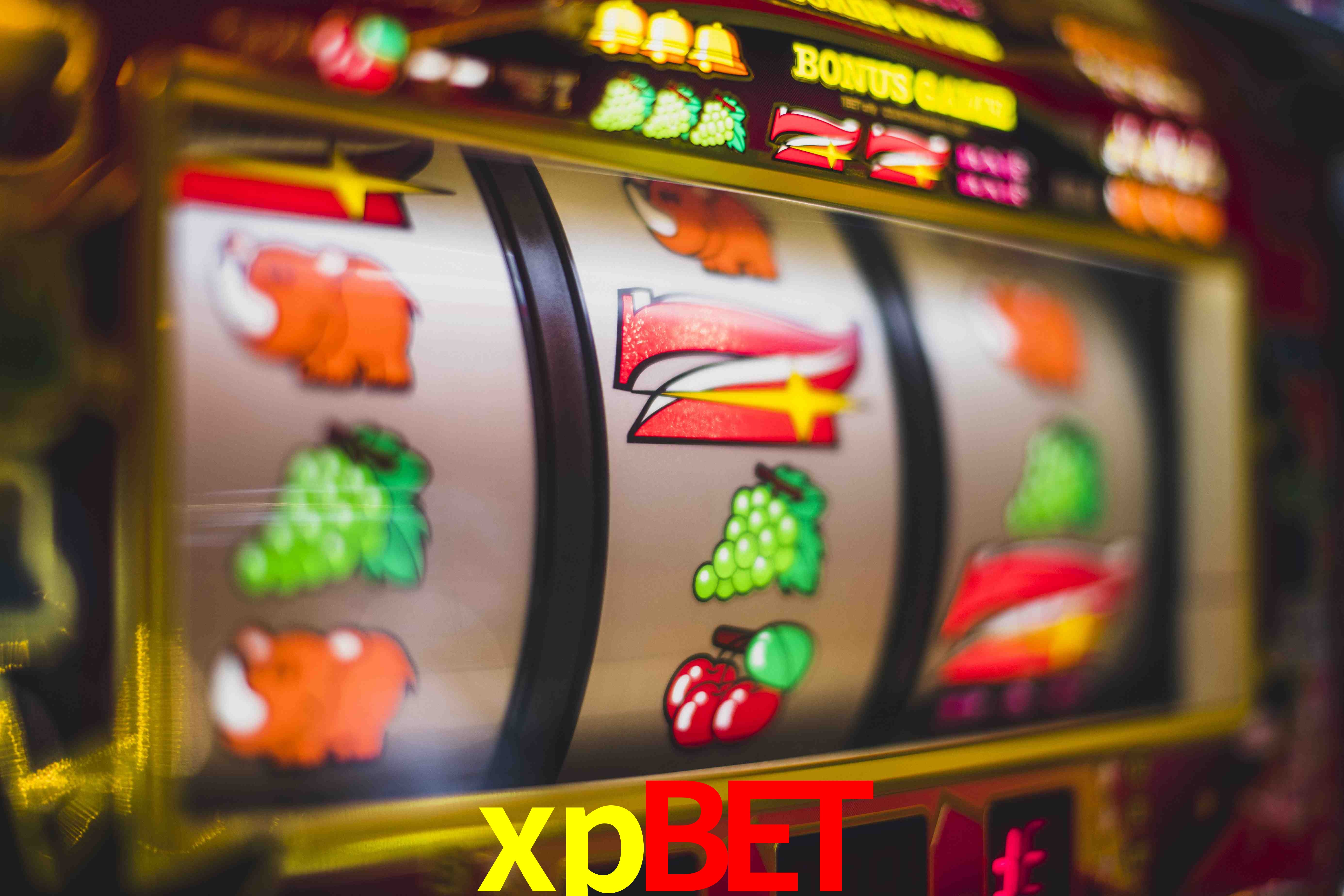 Crash Games Statistics xpbet